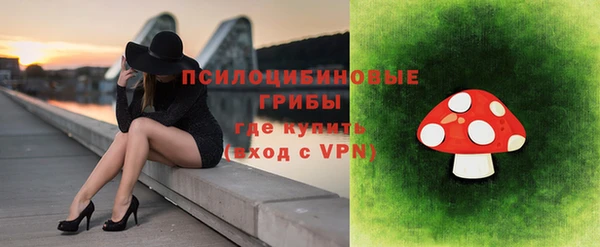 бошки Бородино