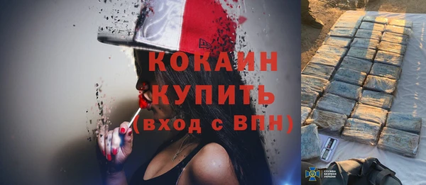 бошки Бородино